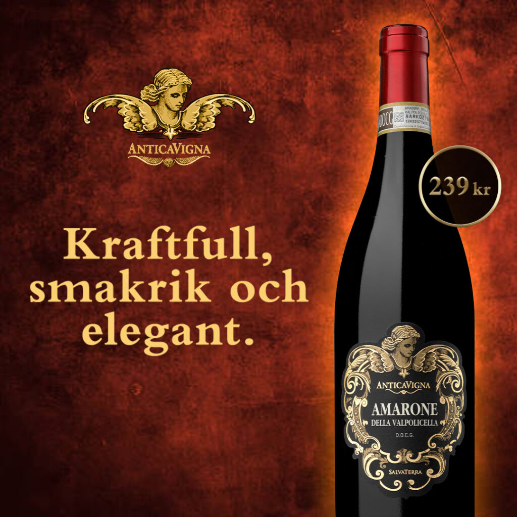 Antica Vigna Amarone – Di Vin