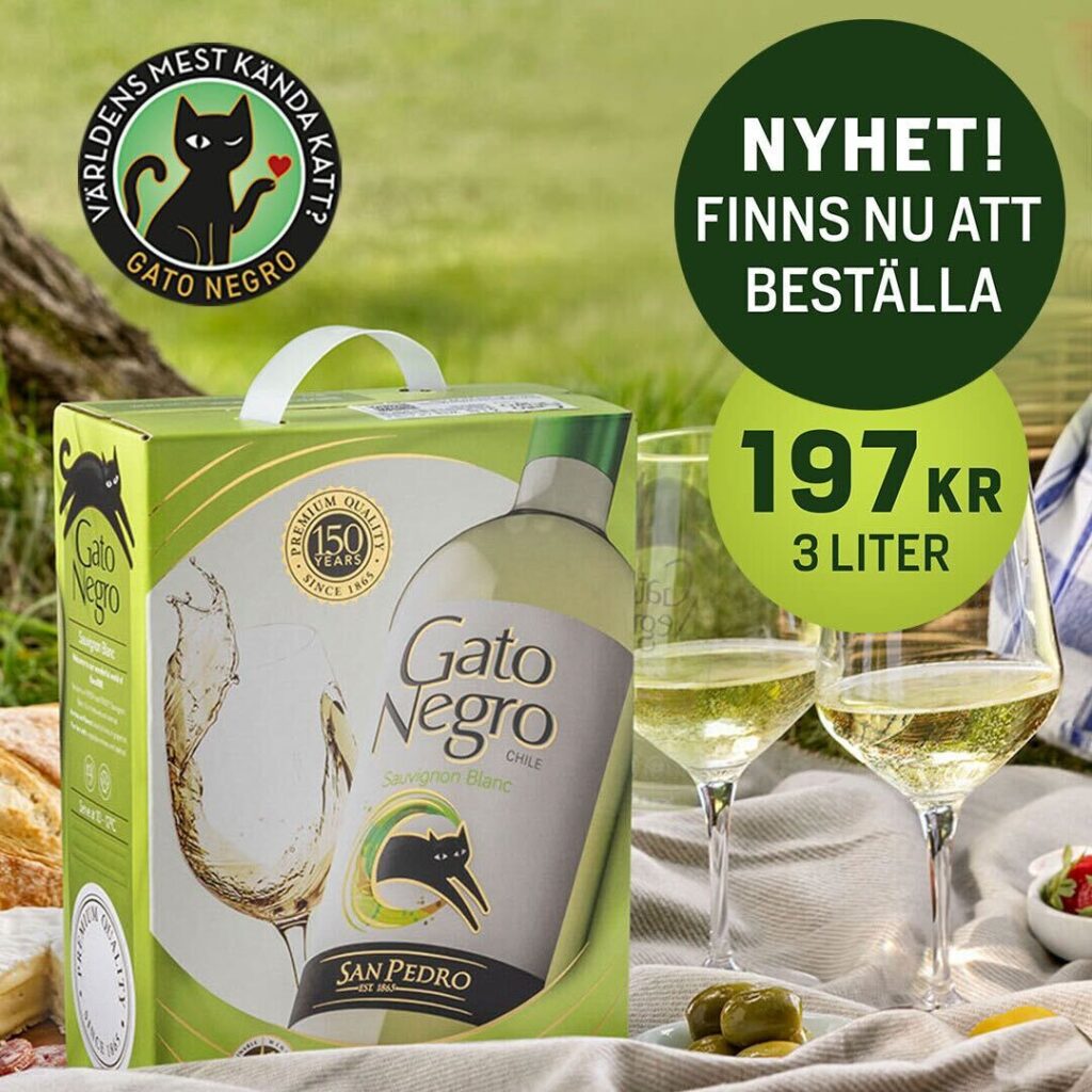 Gato Negro Sauvignon Blanc